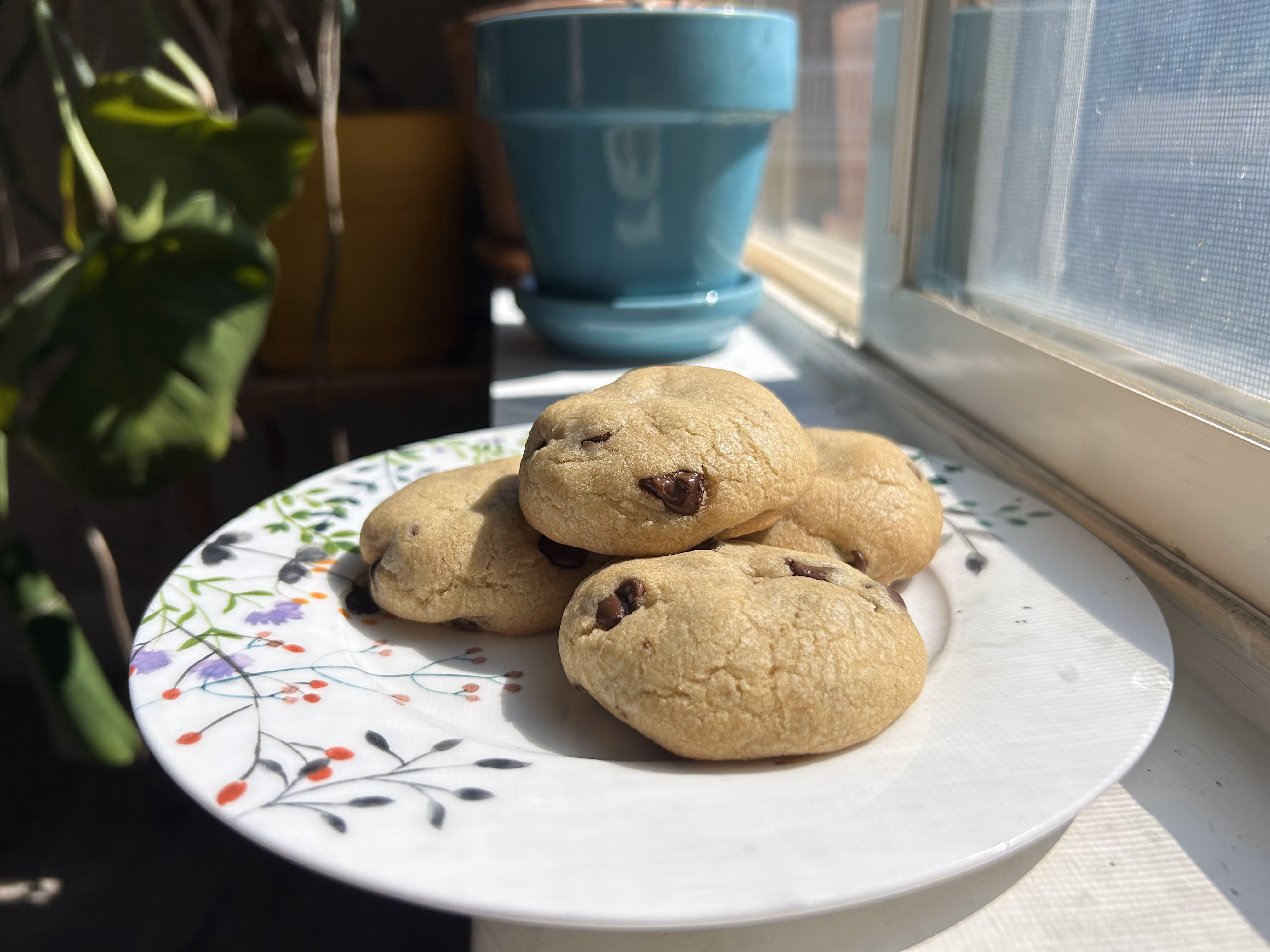 Chocolate chip cookies on a plate